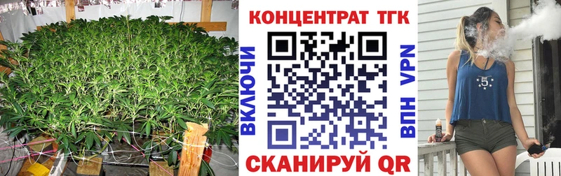 Дистиллят ТГК концентрат  Купить закладки  Нестеров 